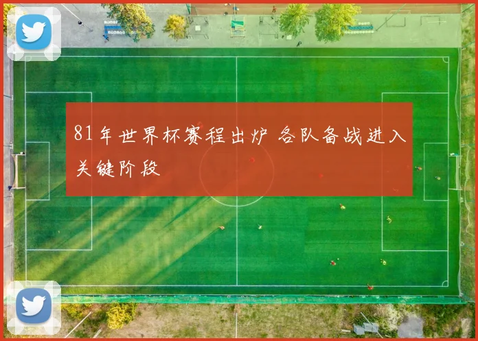 81年世界杯赛程出炉 各队备战进入关键阶段