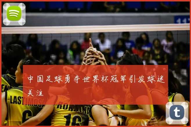 中国足球勇夺世界杯冠军引发球迷关注