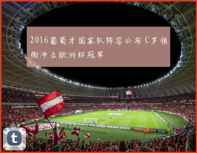 2016葡萄牙国家队阵容公布 C罗领衔冲击欧洲杯冠军